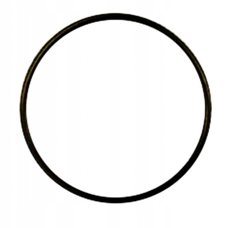 15689095885